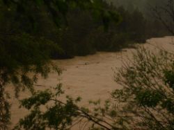 2013-06-02_Regina-F-Rau_Geretsrieder-Stadtbach_Isar (48).JPG